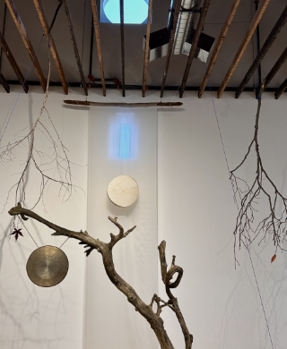 Sound Forest — Soli Pierce